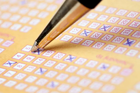 动物运动会开奖数据与播报平台