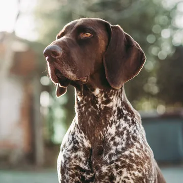 品牌与合规展示